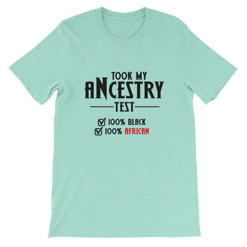 Took My Ancestry Test Bella Canvas T-Shirt - Culture Curator 101