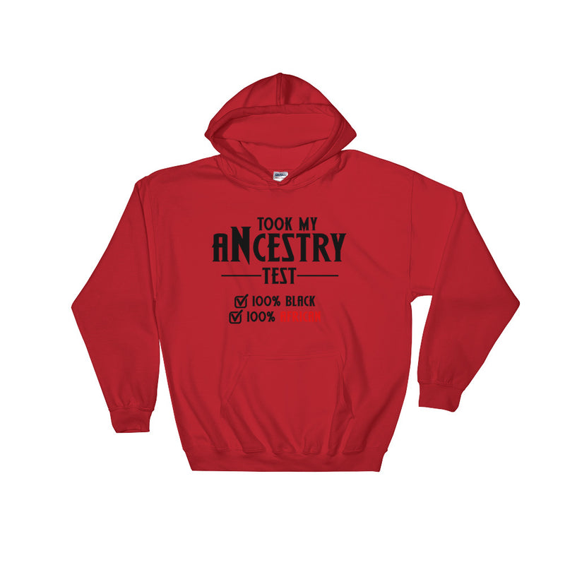 Took My Ancestry Test Hoodie - Culture Curator 101